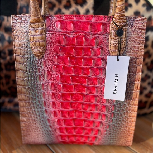 Brahmin Moira Lakeridge Ombre Melbourne with matching Verinica Wallet - Picture 2 of 7